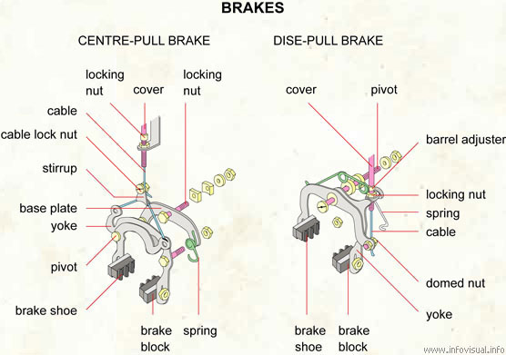 Brakes  (Visual Dictionary)